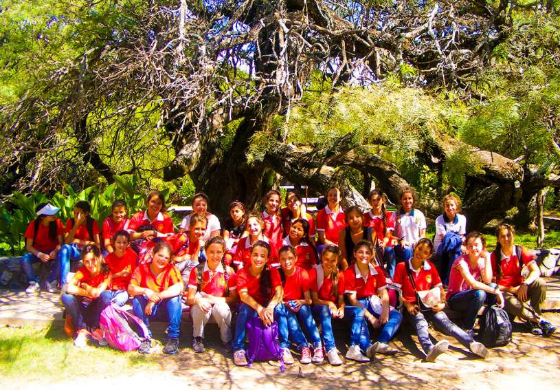 FiammaMerlo2015_01